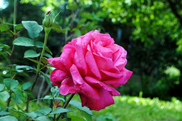 Людмила Немтинова