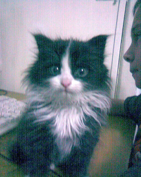 Сергей Никонов