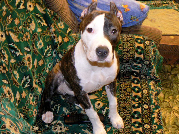 Таисья Суслова