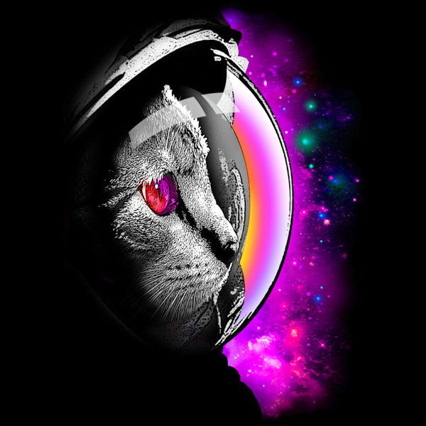 Денис Алексеев