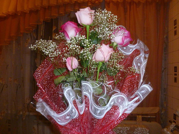 Тамара Стрельцова