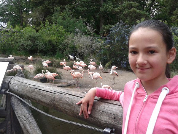 Аня Анисимова