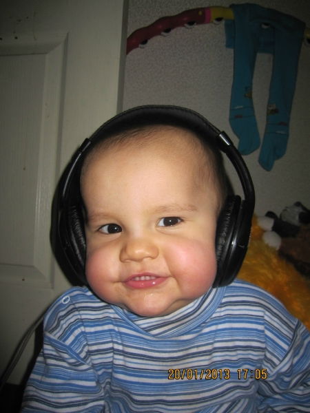 Сокол Сокол