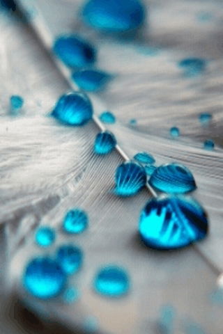 Лаура Захарова