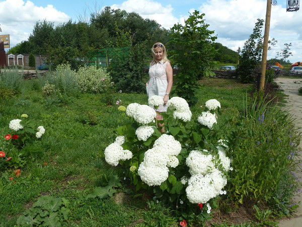 Ольга Морозова