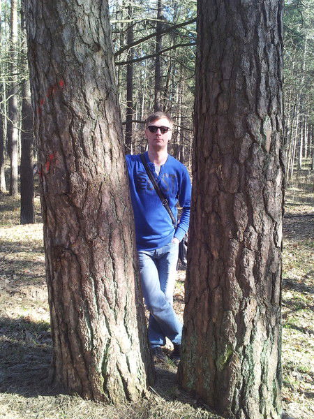 Александр Тимофеев