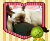 Ириша Иришкина