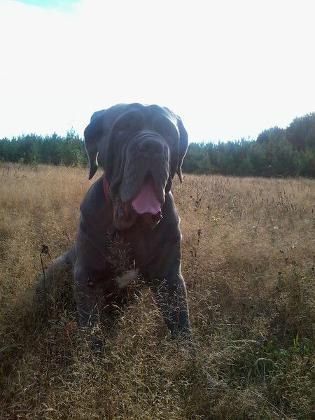 Марьяна Калабина