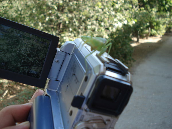 Иван Зятьков