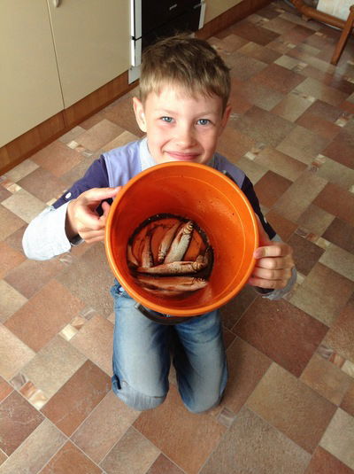 Андрей Каменев