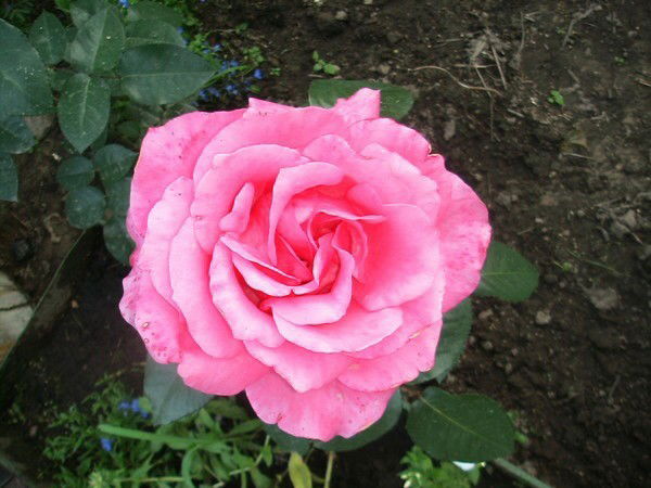 Наталья Люлина