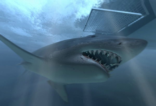 Евгений Давыдов