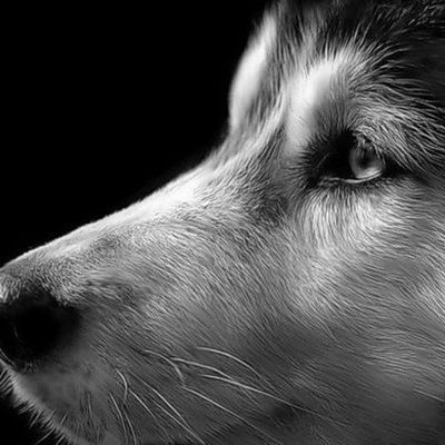 Данила Исаков