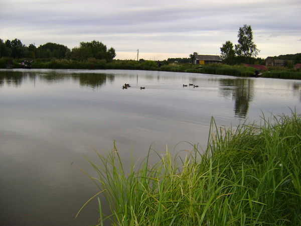 Анастасия Михеева