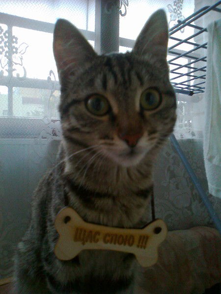 Лев Кикбаев