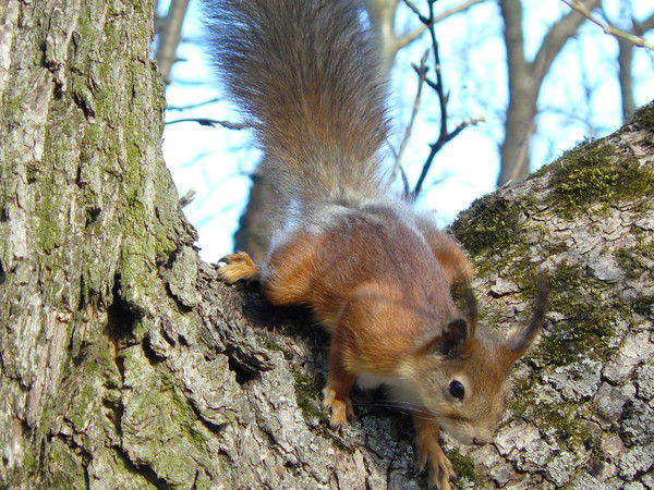 Екатерина Жонина