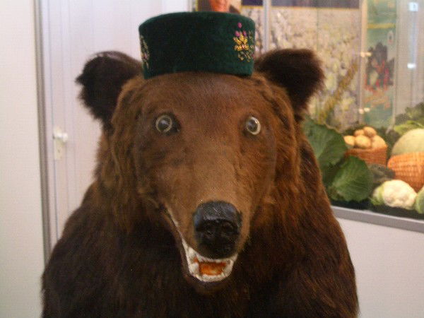 Александр Нестеренко