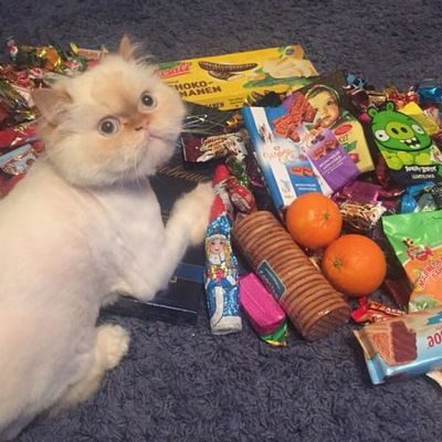 Диана Пышная