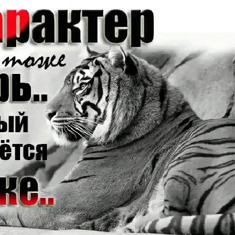 Мария Богаткина