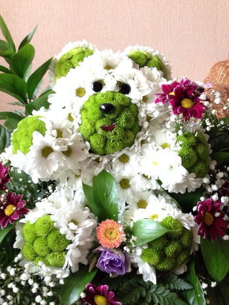 Елена Петелина