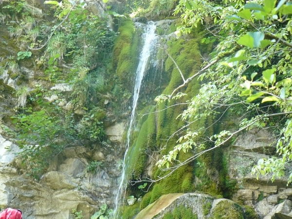 Ирина Веденина