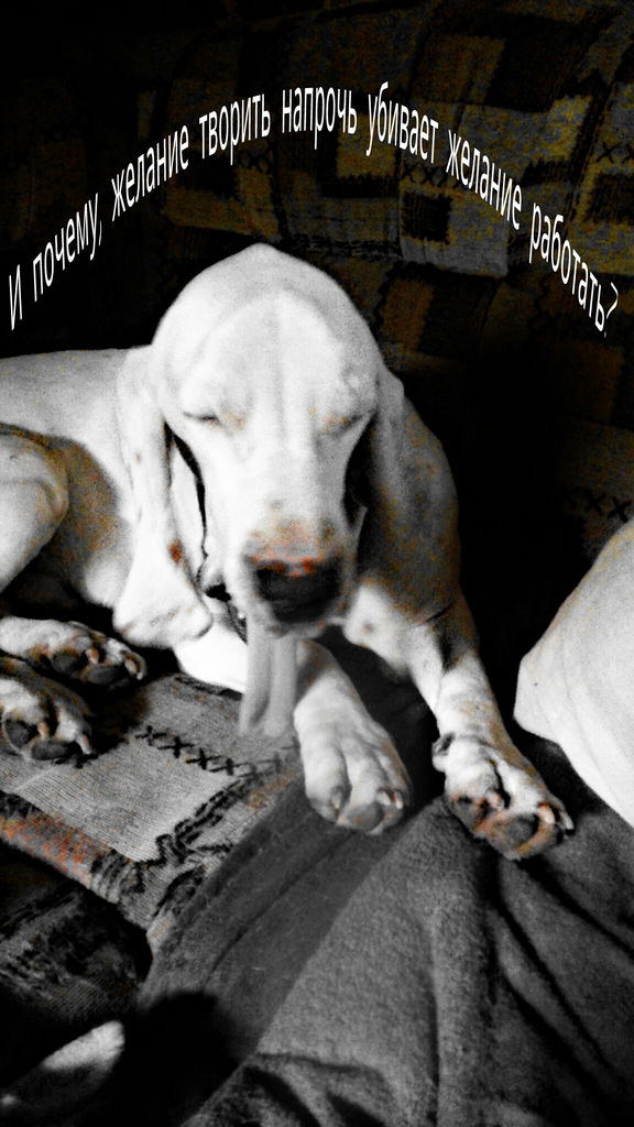 Антон Проневский