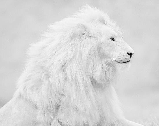 Марина Бутинова