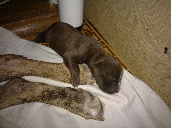 Сергей Хильченко