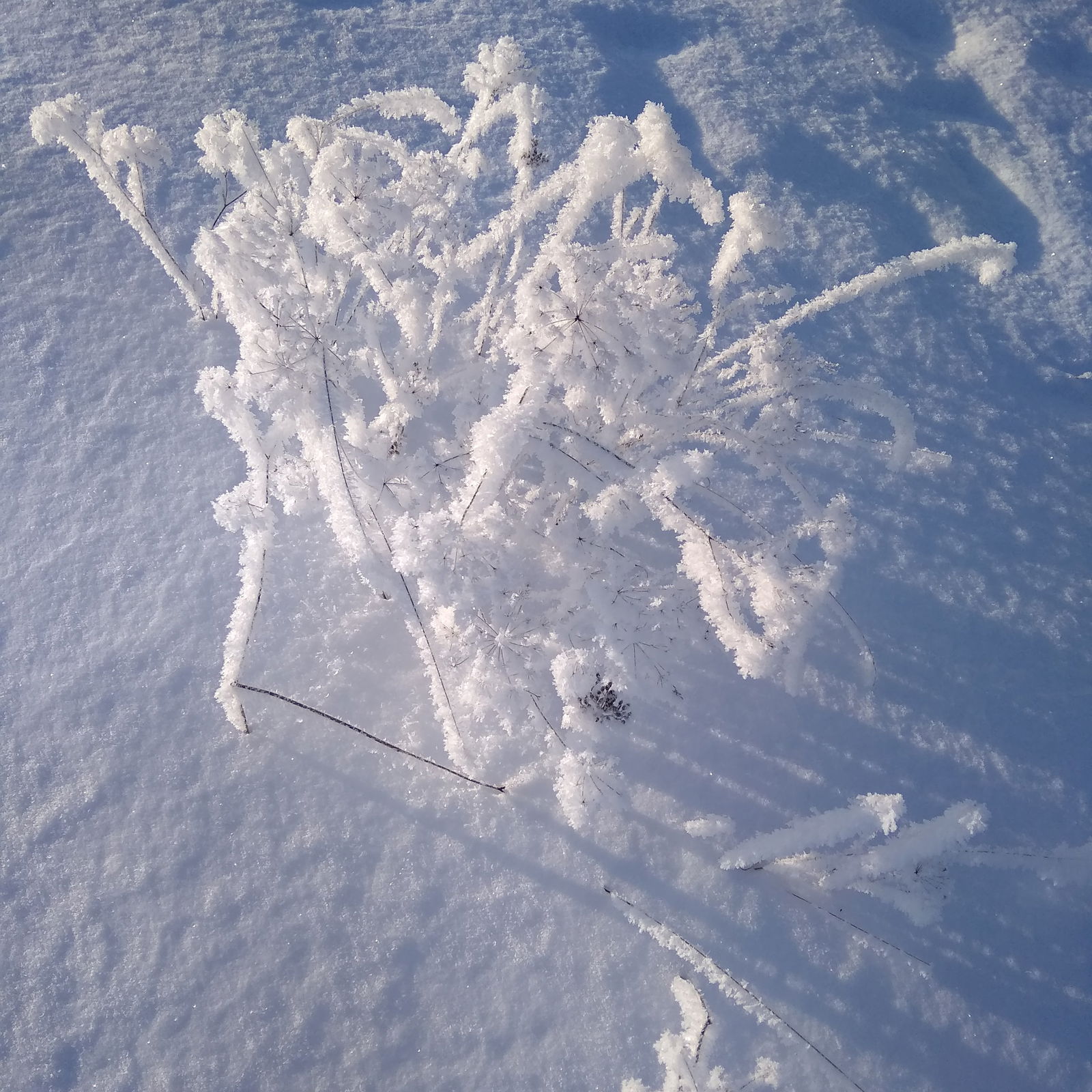 Мэри Поппинс