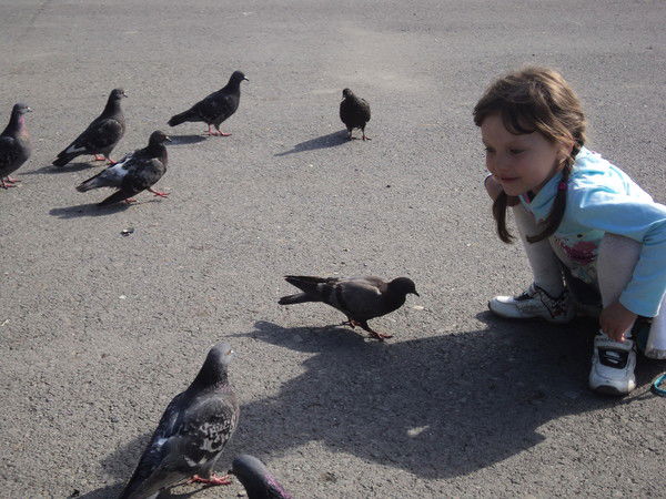 Светлана Гришина