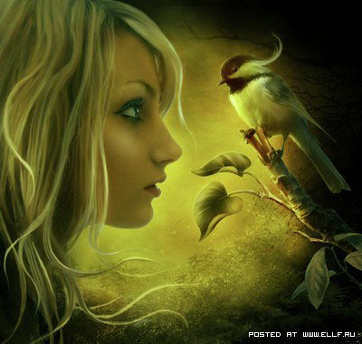 Евгения Степнова