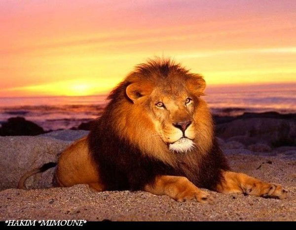 Валентина :)