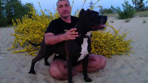 Владимир Ященко