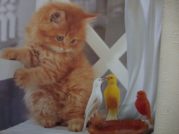 Сельский Совет Красноярский