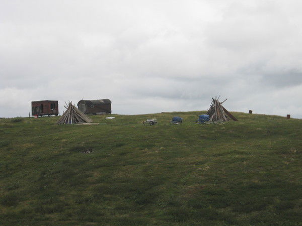 Роман Огородов