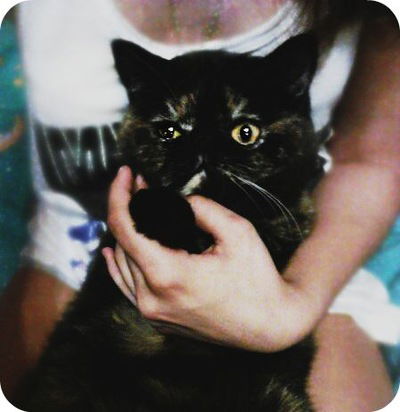 Кристина Наследникова