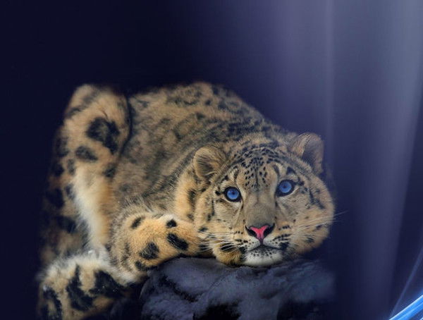 Светлана Мирюкина