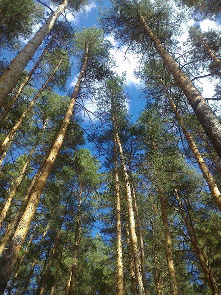 Айнур Тлеубаева