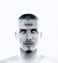 Владимир Плахотников