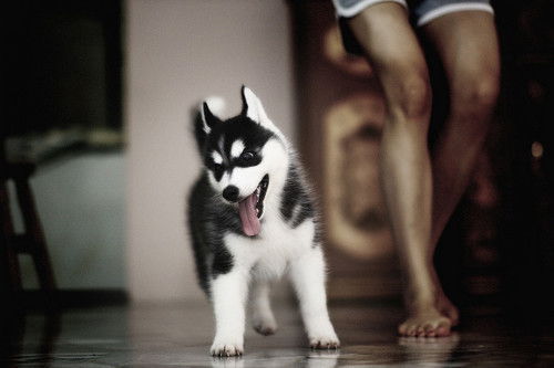 Дарья Катаева