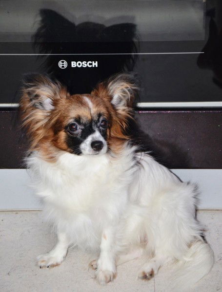 Светлана Левина