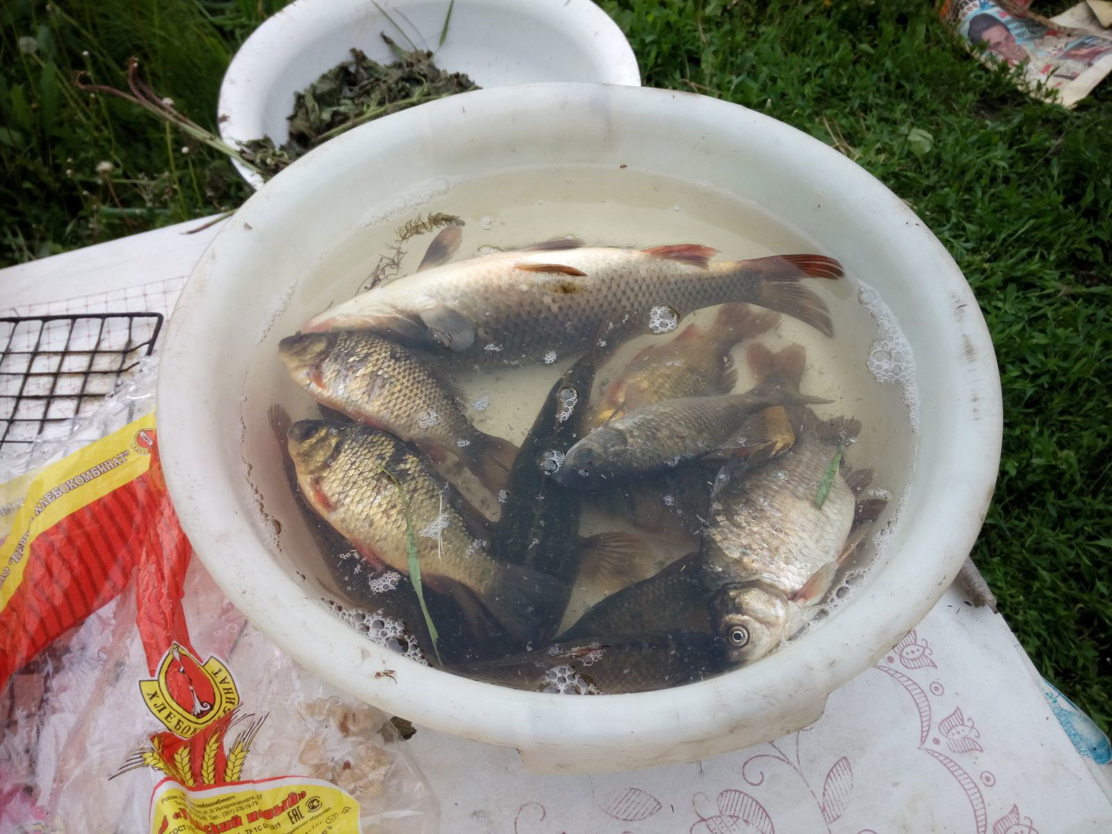 Алексей Шадрин