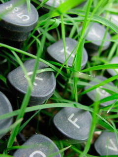 Флорида Амеркаева