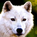 Александр Поляков