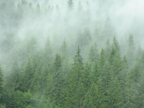 Управа Бескудниково