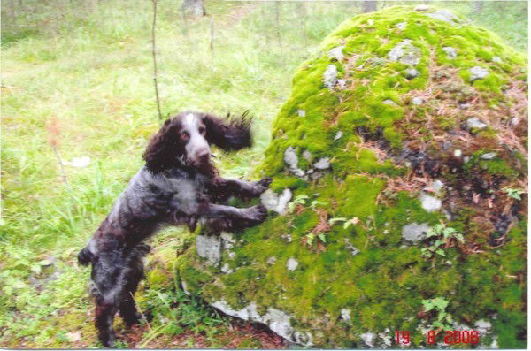 Русский Охотник