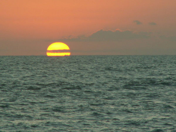 Нина Доморацкая