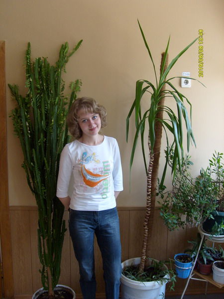 Наталья Веселкова