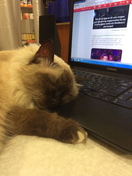 Владимир Ткаченко