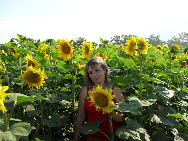 Людмила Базилевская